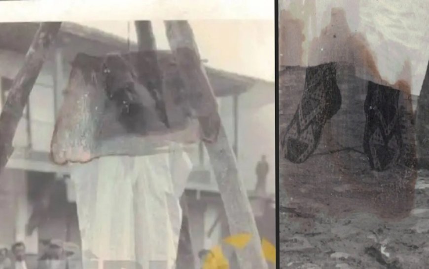 Ulugana: 89 yıl sonra Seyit Rıza ve arkadaşlarının idam fotoğraflarını bulduk