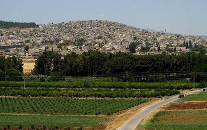 Efrin'de Kürtlerin topraklarına yerleştirilen Araplar, sumakları çalıp satıyor