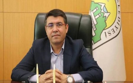 DEM Parti: Tatvan Belediyesi Eş Başkanı Erol görevden uzaklaştırıldı