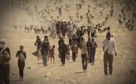 Şengal dramı 12. yılında: 49 bin aile hala evine dönemedi!