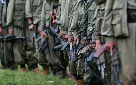 Selvi: Yasa teklifi sonrası PKK'nin silahsızlanması üç aşamada yürütülecek