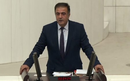 DEM Partili Kamaç: Kürtlerin kimliği, dili, kültürü ve statüsü tartışmaları bundan sonra başlayacak
