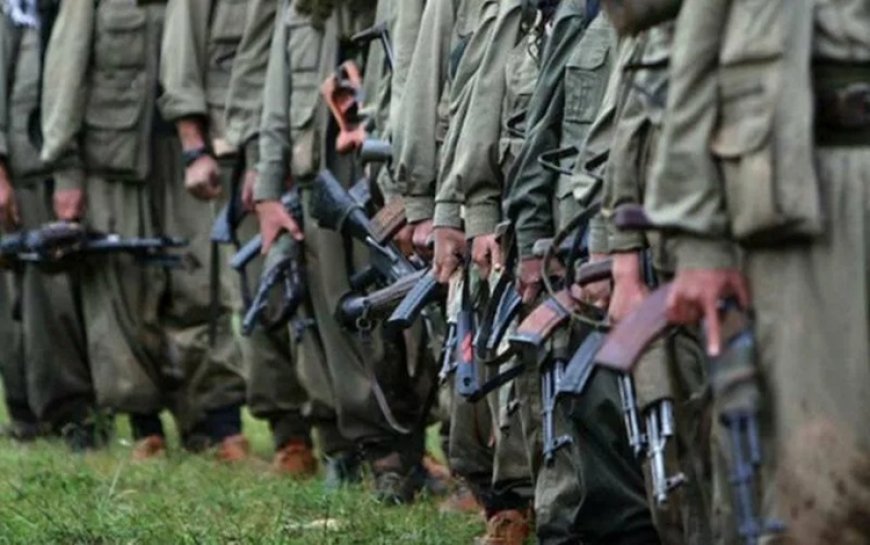 Selvi: Yasa teklifi sonrası PKK'nin silahsızlanması üç aşamada yürütülecek