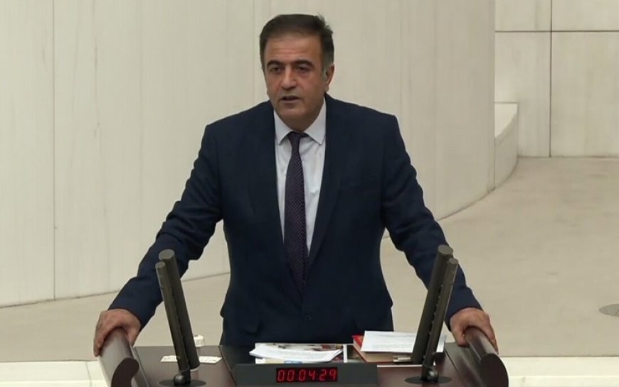 DEM Partili Kamaç: Kürtlerin kimliği, dili, kültürü ve statüsü tartışmaları bundan sonra başlayacak