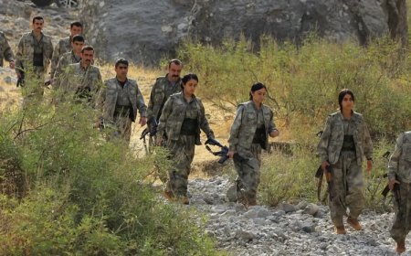 Batifa Kaymakamı: PKK'nin çekilmesiyle boşaltılan sınır köyleri yeniden canlanıyor