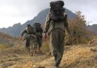 PKK yaşamını yitiren 38 HPG üyesinin daha kimliklerini açıkladı