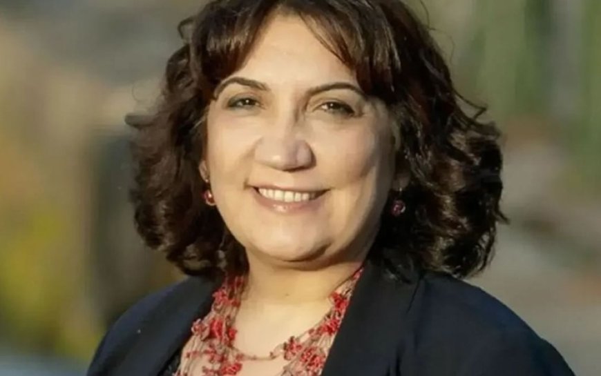 Füsun Demirel: Kürtlerin kimliği ve anadili tanınmalı