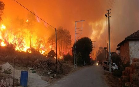 Antalya’da ''Yangınlardan Kürtler sorumludur'' paylaşımına soruşturma
