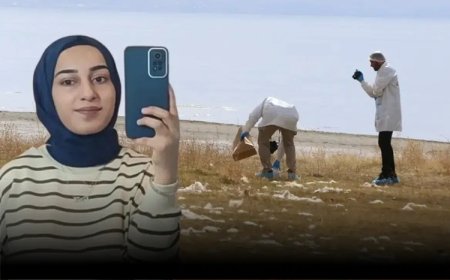Rojin Kabaiş dosyasında yeni ayrıntı: 2 kişi ağır cisim taşırken görüldü!