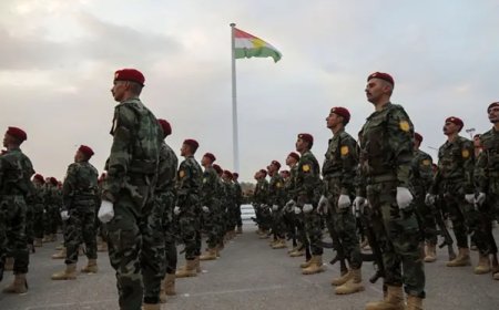 Hollanda, Peşmerge güçlerinin birleştirilmesini kutladı