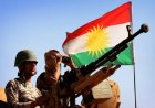 Almanya'nın Erbil Başkonsolosluğu: Güvenlik yardımlarına devam edeceğiz