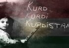 Kürtçe dijital dünyada yeni bir başarıya imza attı: Unicode sıralamasında 15 dili geride bıraktı