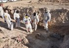 Irak: Kimlikleri belirlenen Şengal ve Beduş şehitleri defnedilecek