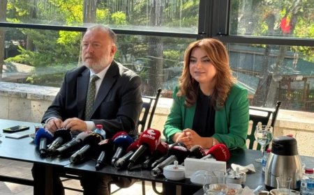 DEM Parti: 'Çerçeve yasa üzerinden MGK vesayeti kalkmalı'