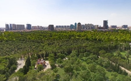 Erbil Yeşil Kuşağı’nın ikinci aşamasında 400 bin fidan daha dikilecek