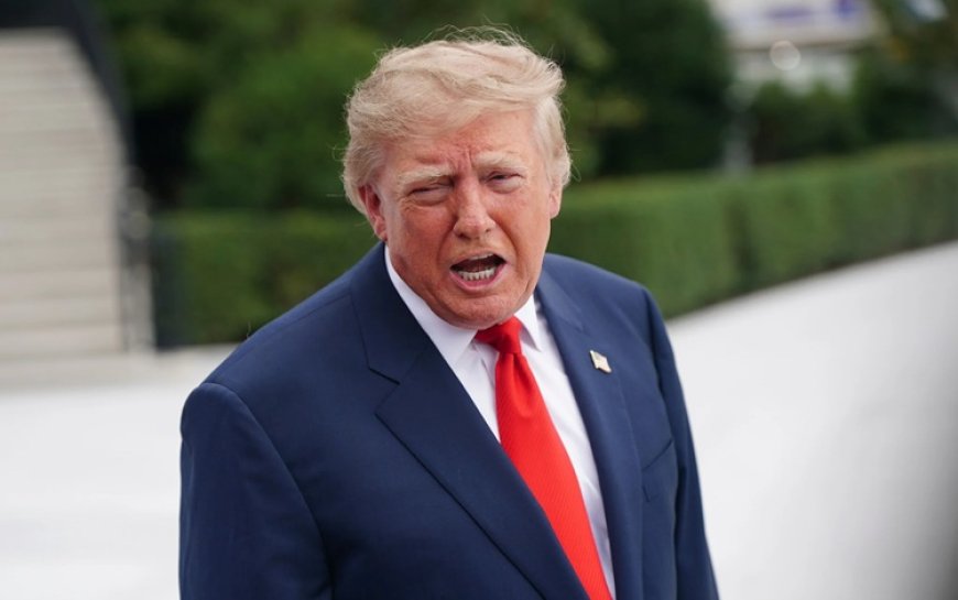 Trump: Husilere yönelik olası operasyona Türkiye’yi de davet edebilirim