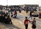 Kürdistan Bölgesi’nde 263 binden fazla Suriyeli göçmen yaşıyor