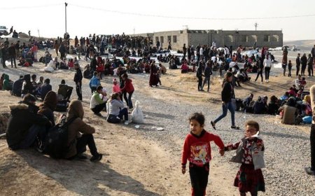 Kürdistan Bölgesi’nde 263 binden fazla Suriyeli göçmen yaşıyor