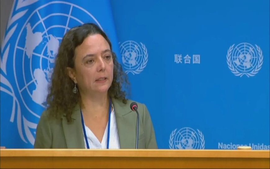 BM Sözcüsü: Girê Spîli göçmenlere yönelik saldırıya ilişkin raporları görmedim